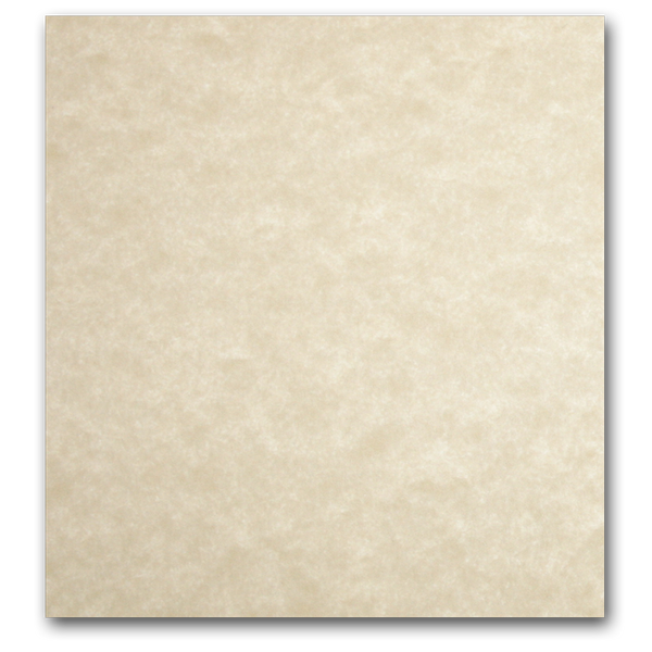 Astroparche 8.5 x 14 24/60 Parchment Paper 500 Sheets/Ream Gray