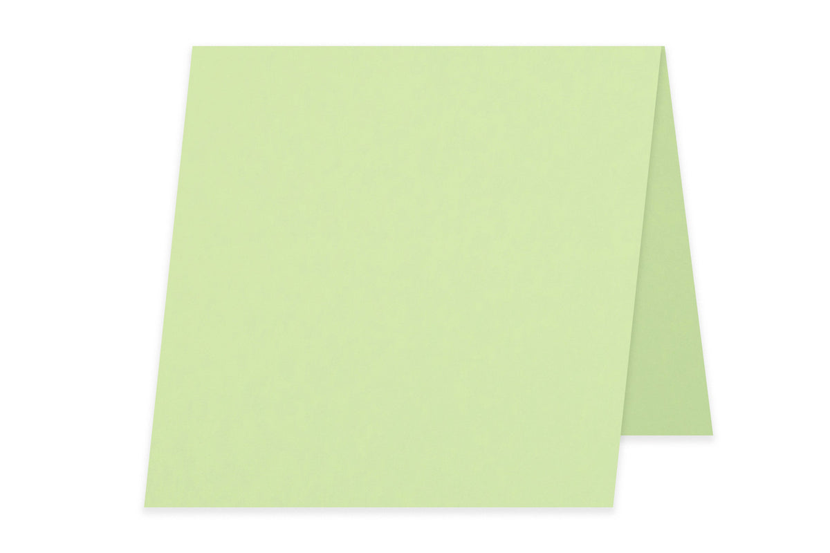 Blank 5x5 Folded Discount Card Stock - Mint Green