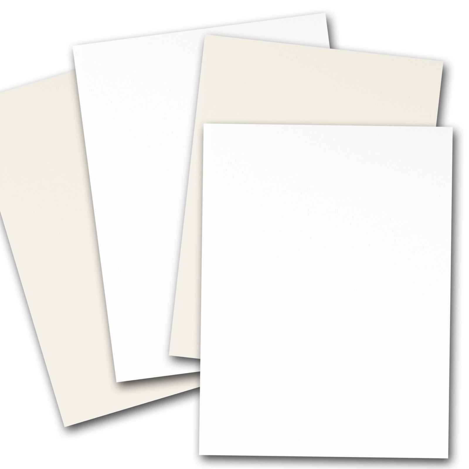 Premium Cougar Paper