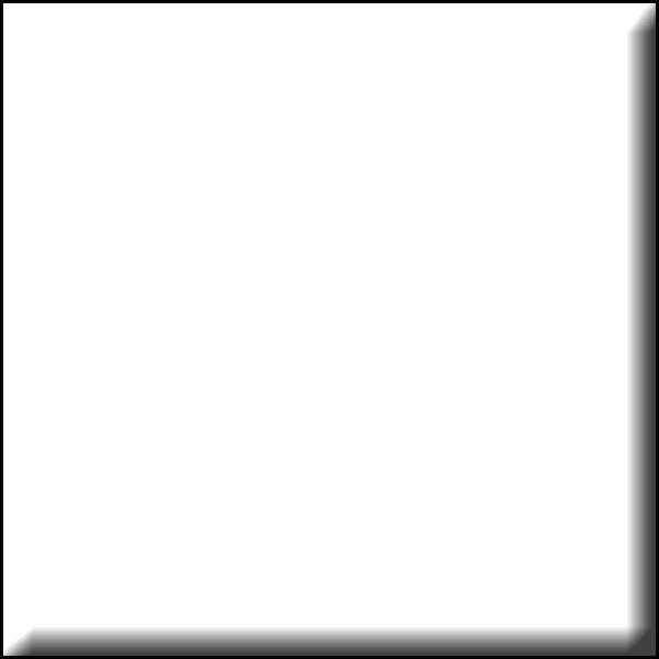 White Paper