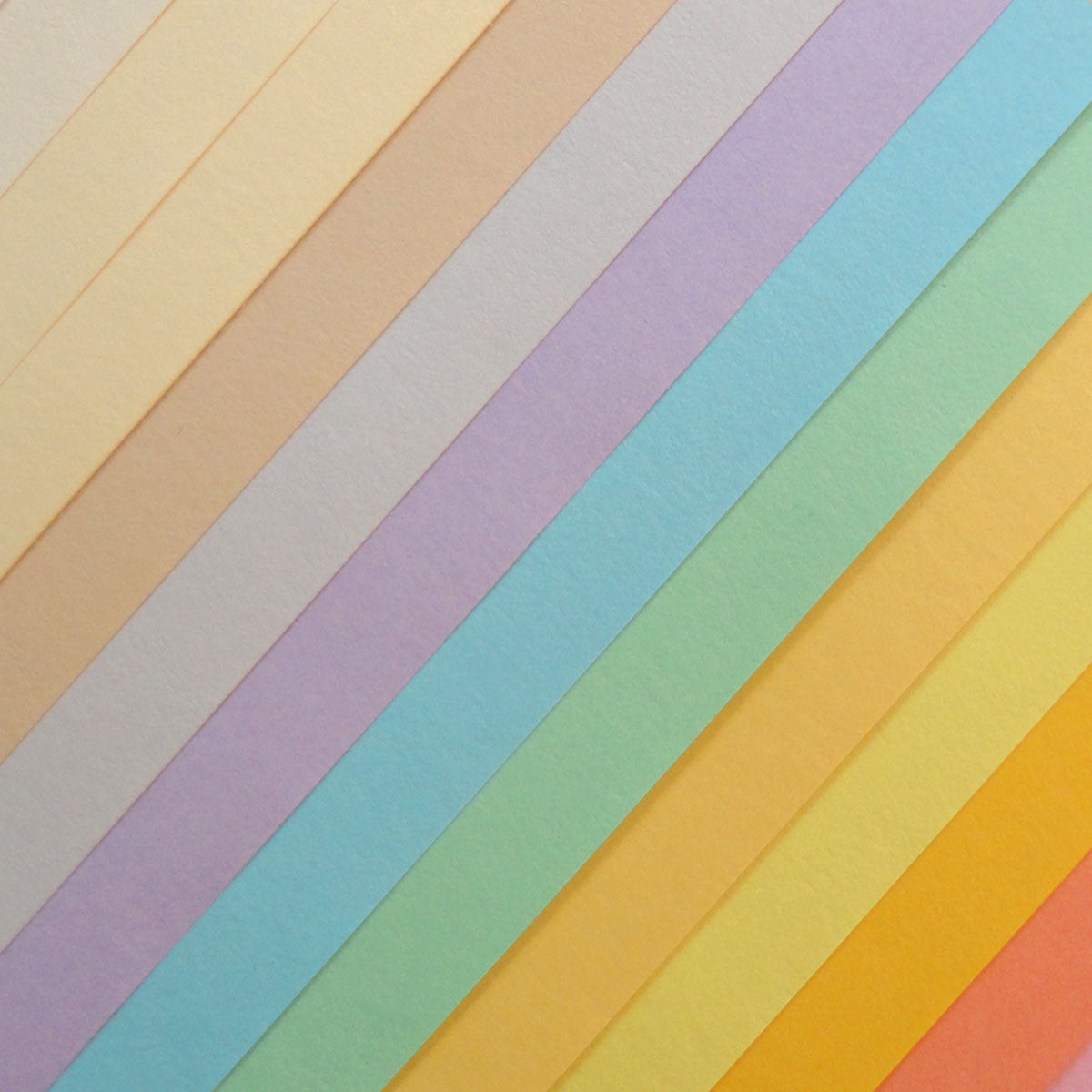 Multiple Color Options