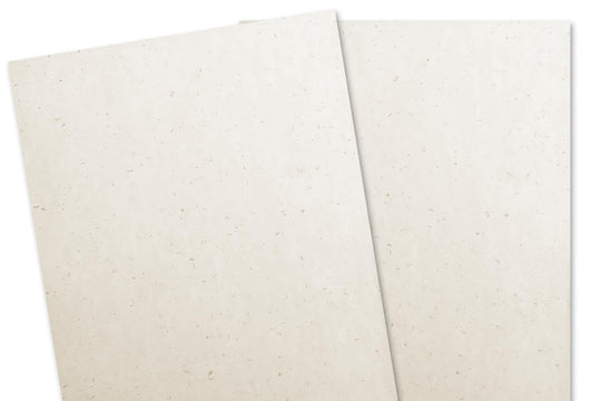 Curious Light Specs Gold 70 lb Text Weight Paper - 8.5x11 - 100 sheets