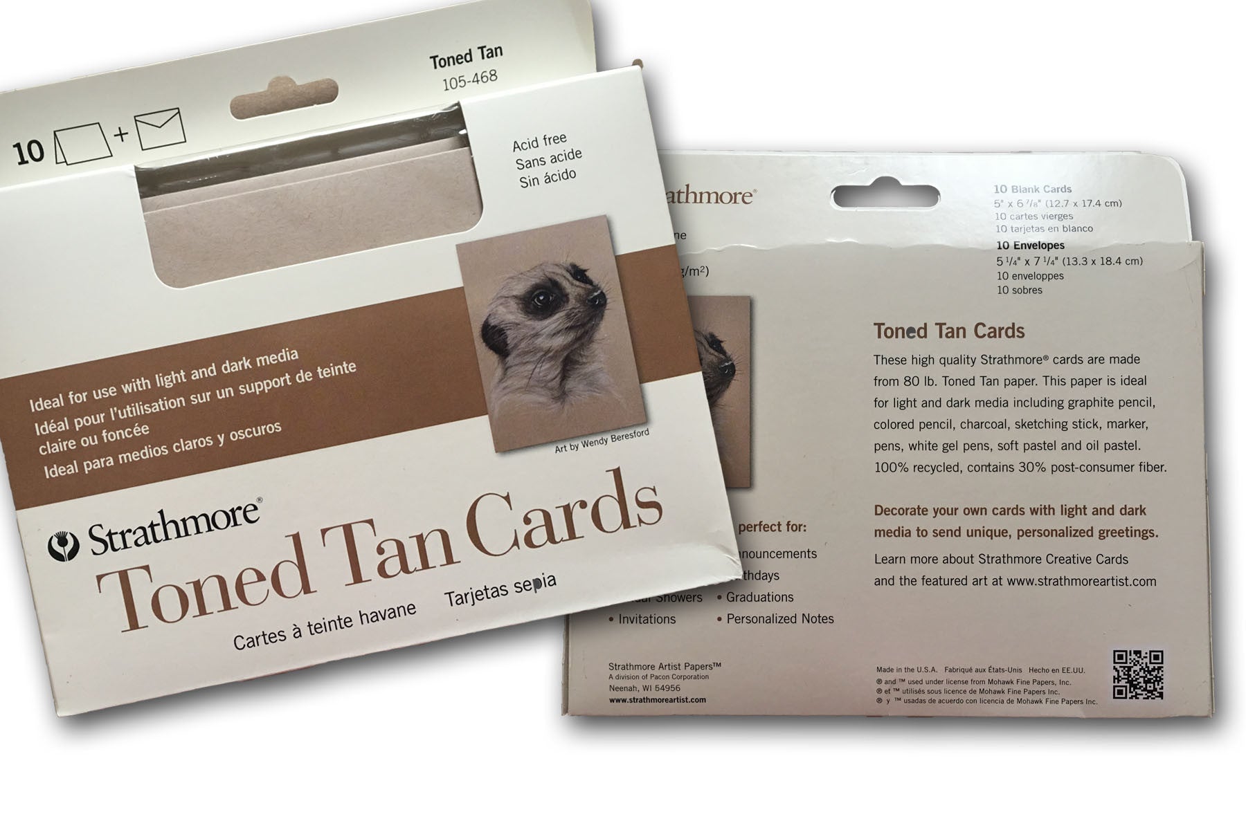 Strathmore Cards & Envelopes 5X6.875 10-pkg-toned Tan