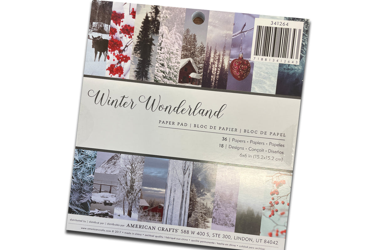 Winter Wonderland Prints 6x6 Card Stock pad - Assortment - 36 sheets