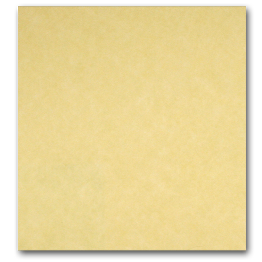 Astroparche 60 lb text weight Paper - 8.5x11 inch  - 500 sheets