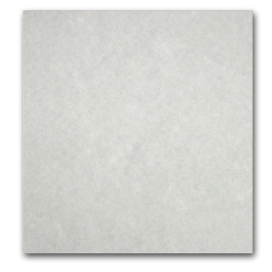 Astroparche 65 lb cardstock 8.5x11 - 250 sheets