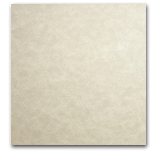 Astroparche 65 lb cardstock 8.5x11 - 250 sheets