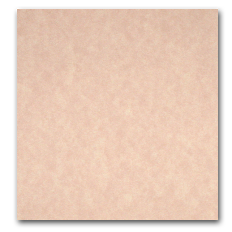 Astroparche 65 lb cardstock 8.5x11 - 250 sheets - CutCardStock