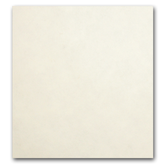 Astroparche 60 lb text weight Paper - 8.5x11 inch  - 500 sheets