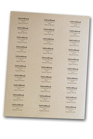 Desert Storm Kraft Address Labels 1 x 2 5/8 -30 labels per sheet - 3 -  CutCardStock