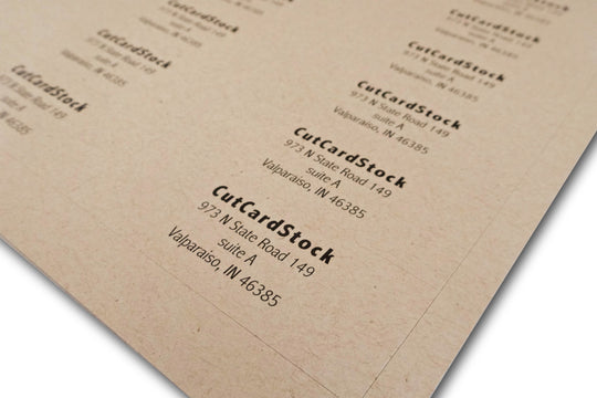 Desert Storm Kraft Address Labels 1" x 2 5/8" -30 labels per sheet -  300 labels