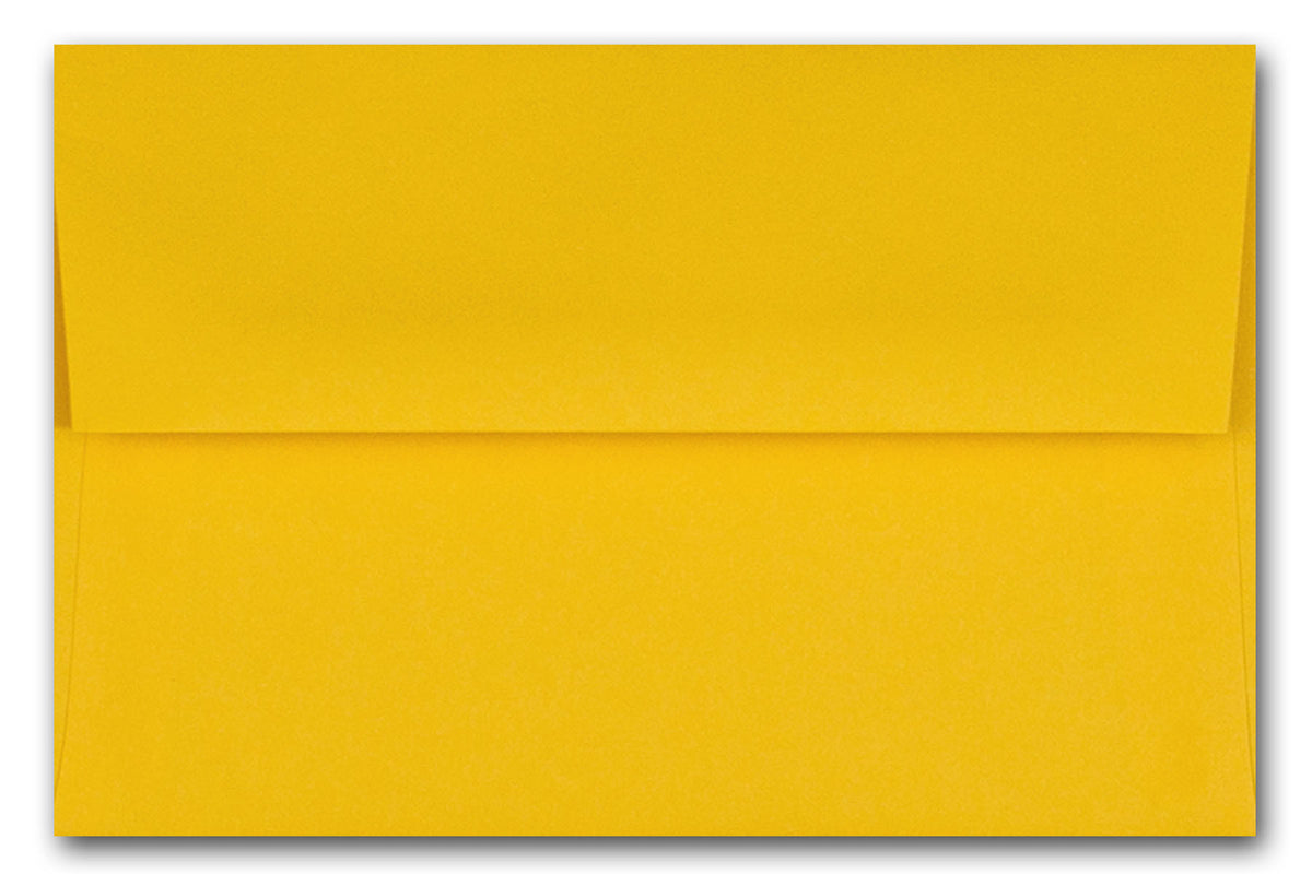 POP-TONE A1 (4 bar) Envelopes