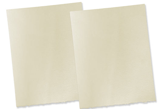 Strathmore Pastelle Deckle Edge 8.5x11 Discount Card Stock