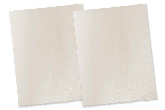 Strathmore Pastelle Deckle Edge 8.5x11 Discount Card Stock