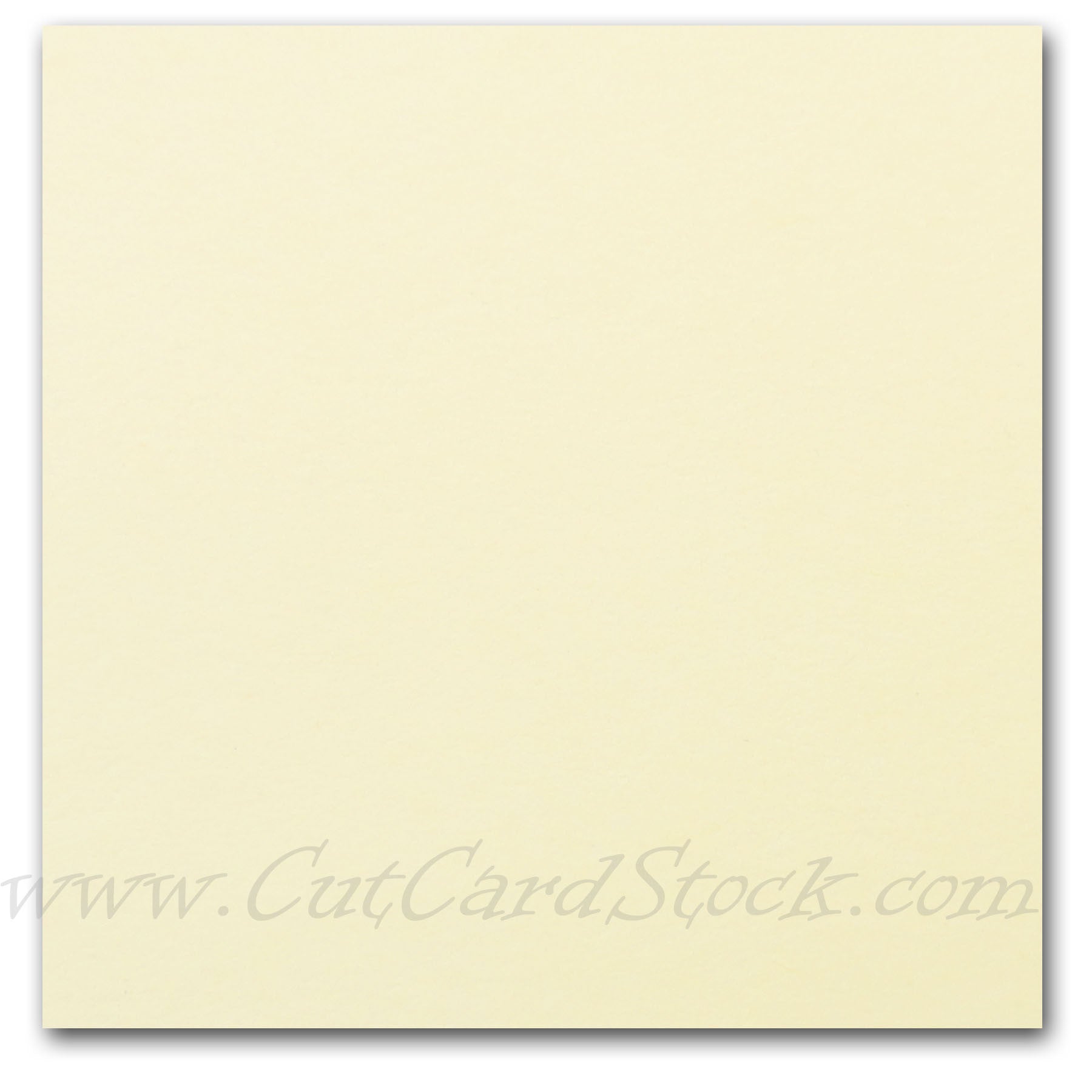 Springhill Vellum Bristol Paper by International Paper Cream