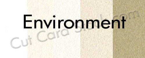 Neenah ENVIRONMENT Card Stock - 250 pk