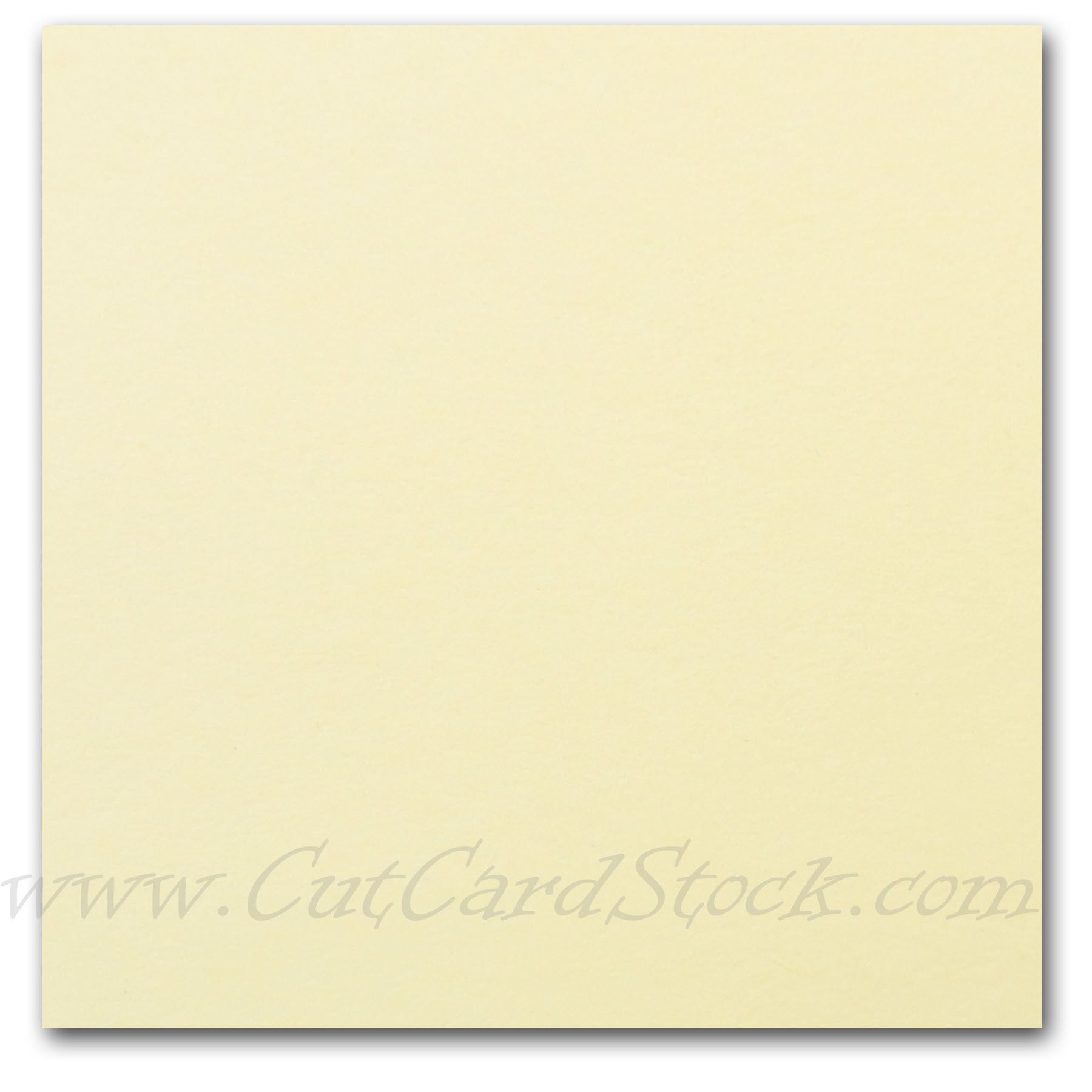 Ivory Paper Stock Lettermark Index Card Stock for brochures, flyers and post cards ...