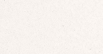 Neenah ENVIRONMENT Card Stock - 250 pk