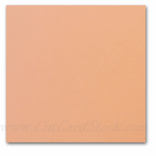 Springhill Colors Index Card Stock - 250 sheets