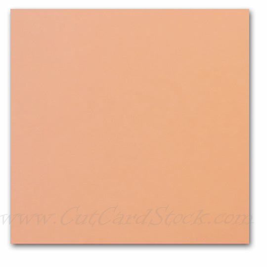 Lettermark Index Card Stock - 250 sheets