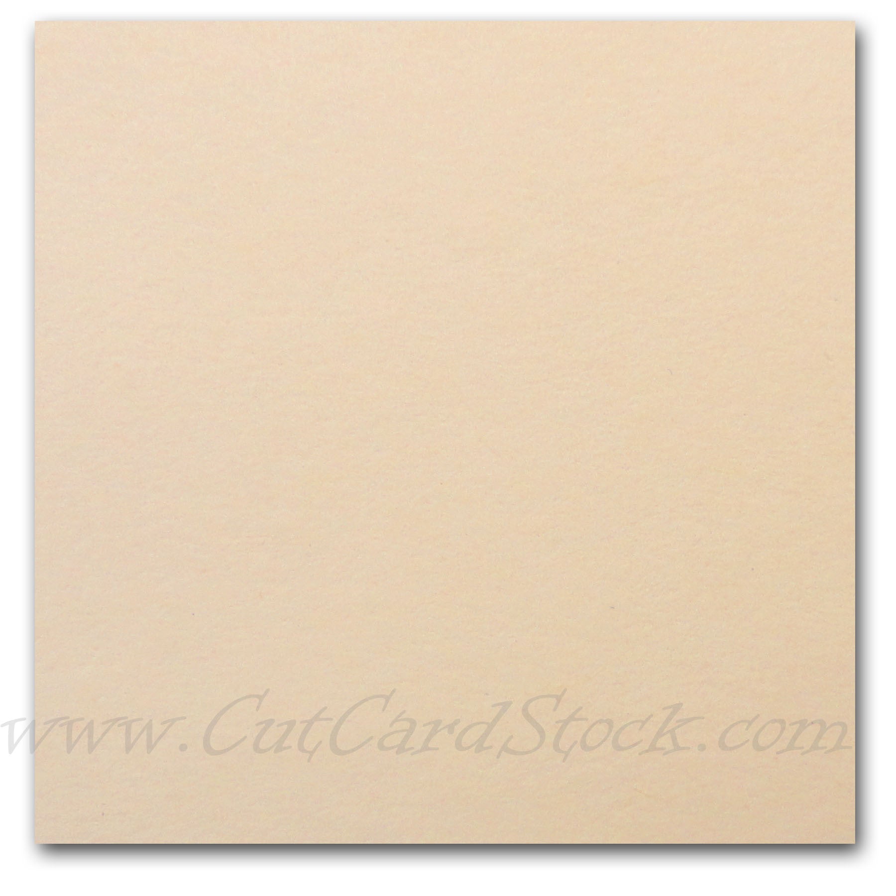 Tan Paper Color Print on Lettermark OPAQUE paper for brochures, flyers and mailings ...